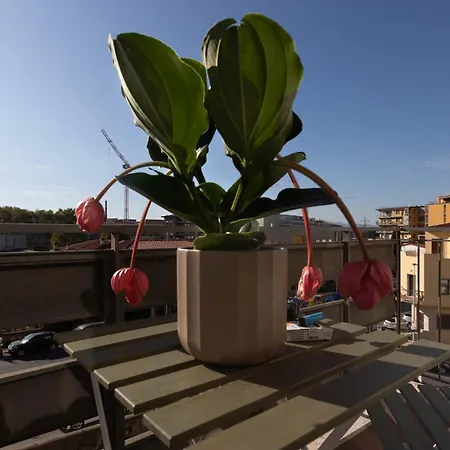 Διαμέρισμα Oasis Puccini & Visarno *